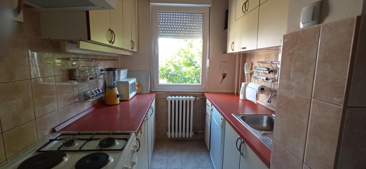 Branysol Apartman Νόβι Σαντ Εξωτερικό φωτογραφία