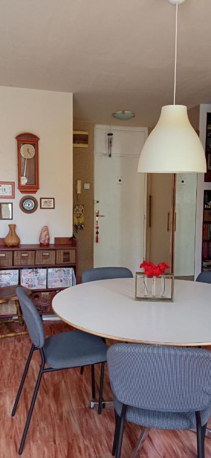 Branysol Apartman Νόβι Σαντ Εξωτερικό φωτογραφία