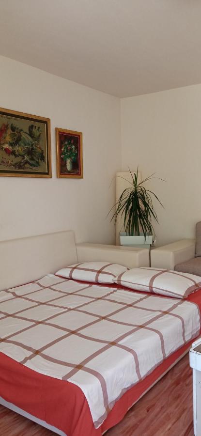 Branysol Apartman Νόβι Σαντ Εξωτερικό φωτογραφία
