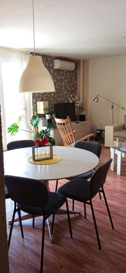 Branysol Apartman Νόβι Σαντ Εξωτερικό φωτογραφία