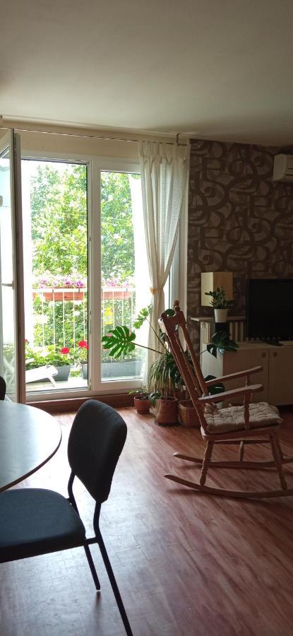 Branysol Apartman Νόβι Σαντ Εξωτερικό φωτογραφία